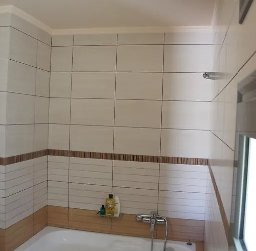 Ixia 이알리소스